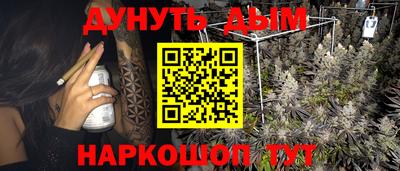 мяу мяу мука Ачхой-Мартан