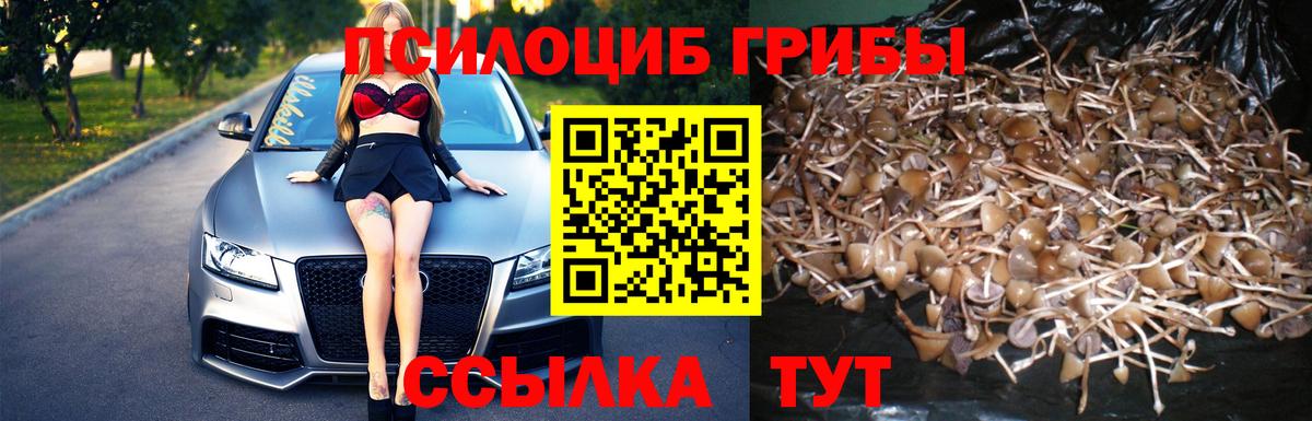 Галлюциногенные грибы GOLDEN TEACHER Фурманов