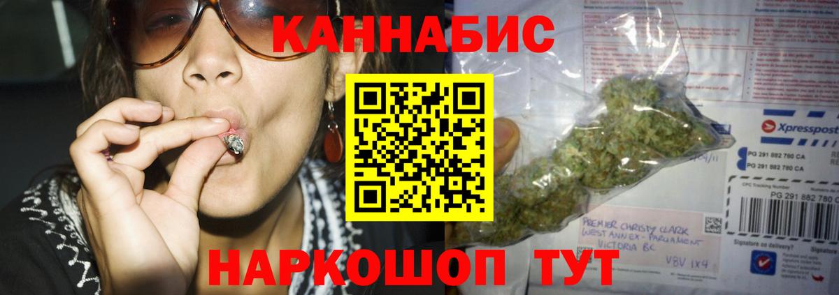 Канабис сатива Фурманов